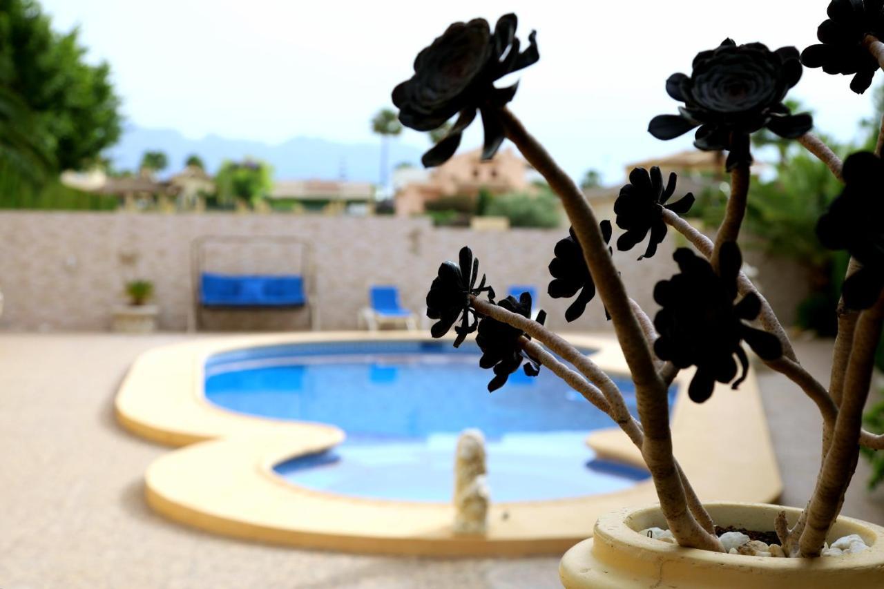 Villa Tres Palmeras En Alfaz Del Pi , Albir, Benidorm L'Alfas del Pi Eksteriør bilde