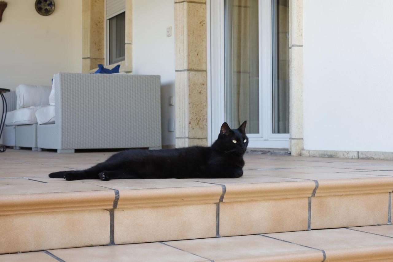 Villa Tres Palmeras En Alfaz Del Pi , Albir, Benidorm L'Alfas del Pi Eksteriør bilde